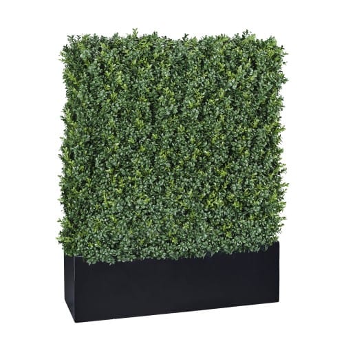 Luxury Boxwood Hedge preview 2