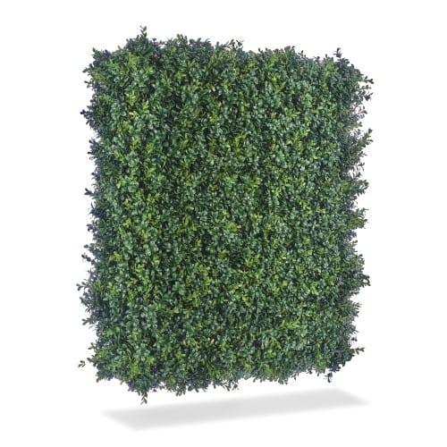 Luxury Boxwood Hedge preview 7