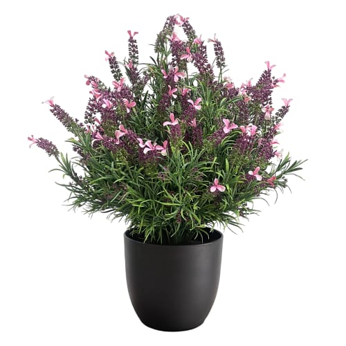 French Lavender UV-IFR preview 2