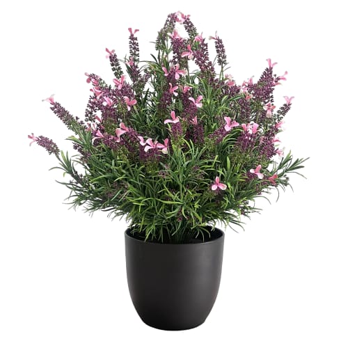 French Lavender UV-IFR preview 5