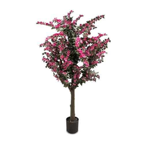 Bougainvillea 1.8m/5ft 11in UV-IFR preview 2