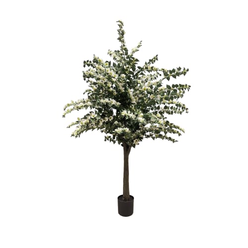 Bougainvillea 2.1m/6ft 11in UV-IFR preview 2