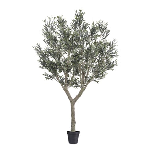 Cielo Verdi Olive Tree UV-IFR