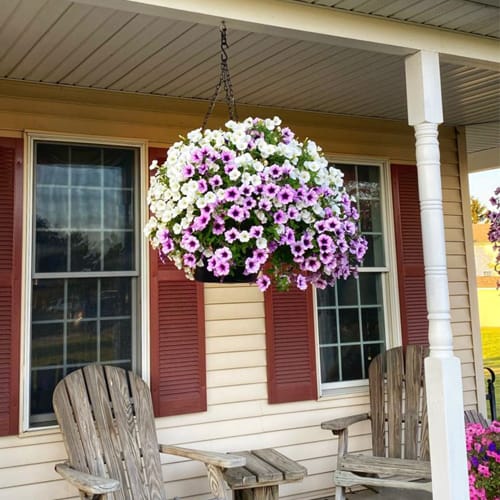 Pro-Series 16 Self Watering Hanging Basket  preview 5