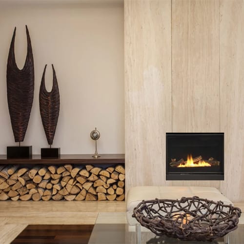 Slim Line Direct Vent Gas Fireplaces preview 1