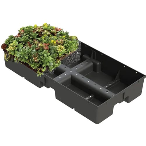 Greenroof Trays: MRP Vista 4" Modular Green Roof System preview 1