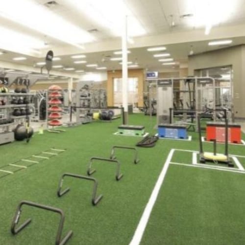 Elevate Sports Turf
