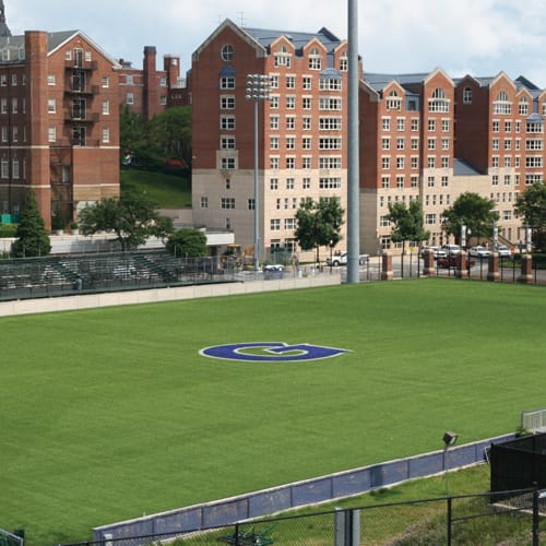 Momentum Sports Turf preview 2