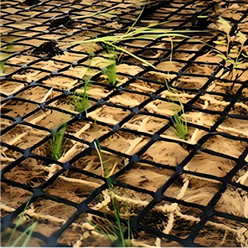 Coir Planting Media: KoirBed™ preview 1