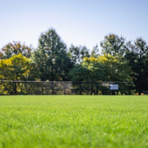 RTF/HGT Seed - Sports/Golf preview 1