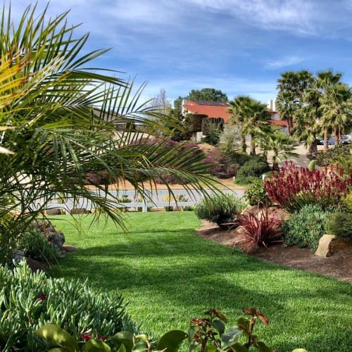 RTF® Sod - Commercial & Lawn
