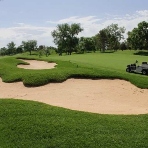 RTF® Sod - Sports