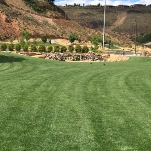 RTF® + HGT Sod - Commercial & Lawn