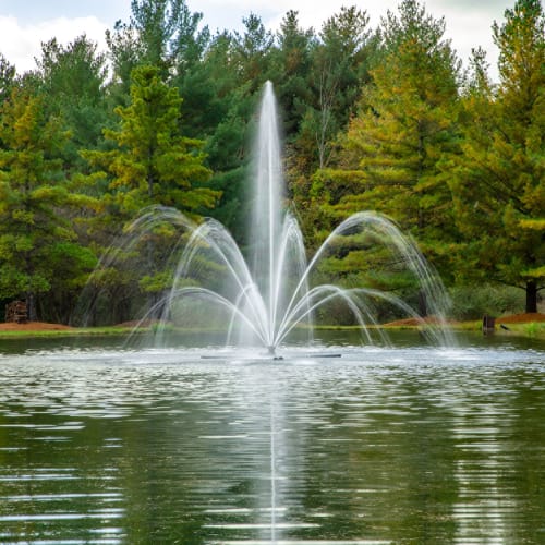 LakeSeries® Fountain: 2 HP preview 4