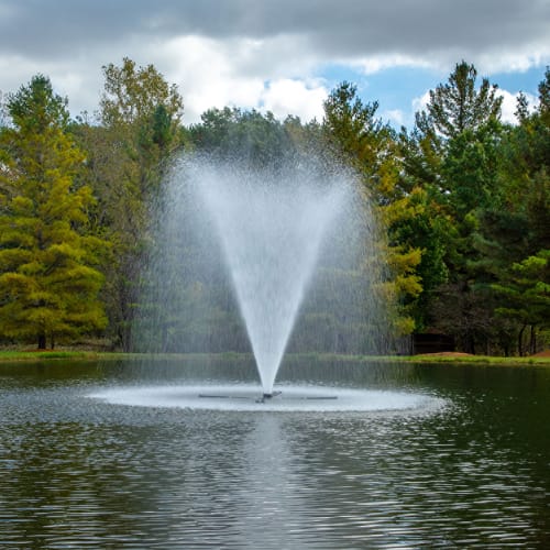 LakeSeries® Fountain: 3 HP preview 4