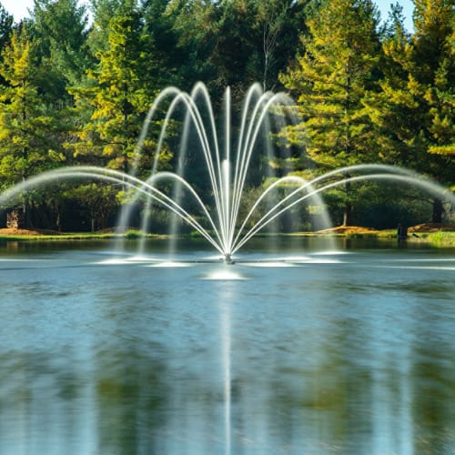 LakeSeries® Fountain: 3 HP preview 1