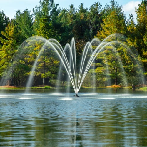 LakeSeries® Fountain: 5 HP preview 1