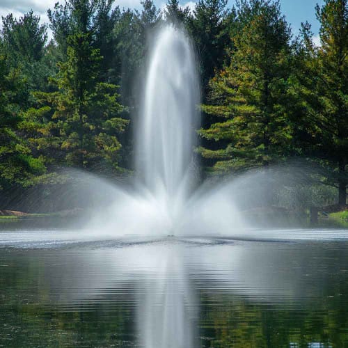 LakeSeries® Fountain: 10 HP preview 1