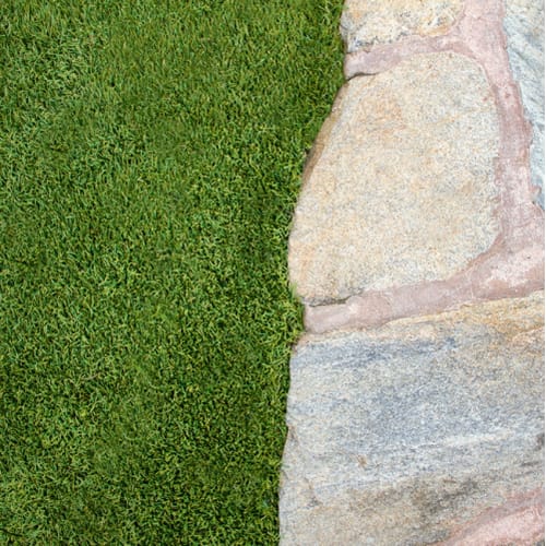 Turf Edge Landscape Edging