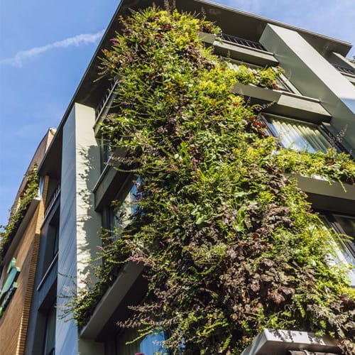SemperGreenwall Outdoor