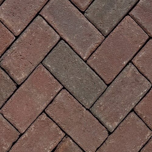 Rembrandt Pavers preview 1