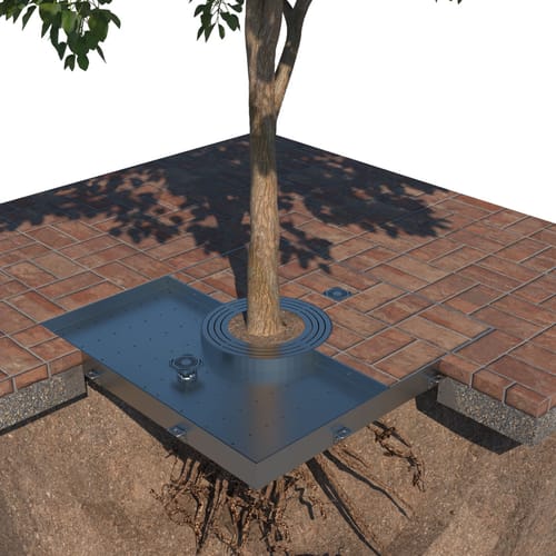 Tree Grates and Tree Protection