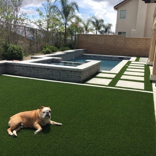 Pet Turf
