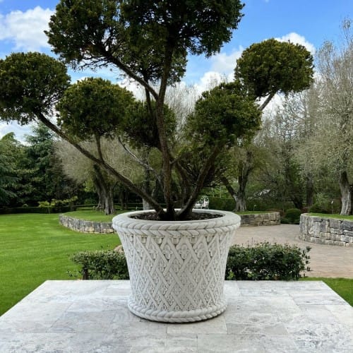 Large Italian Jardiniere (HA435) preview 1