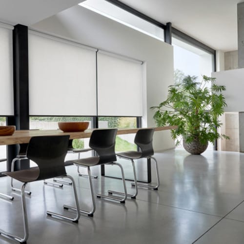 Interior Shades