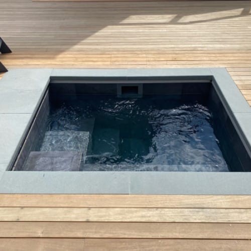 Wellness Therapy Plunge Pool: Cold Plunge preview 1