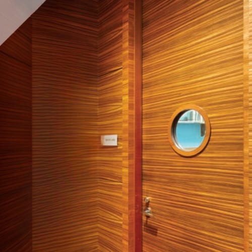Wood Veneer Doors