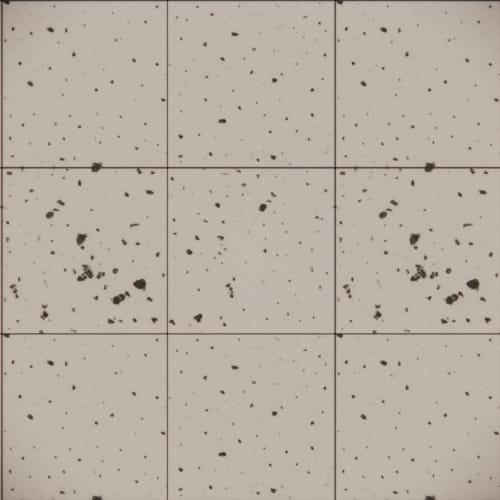 Terrazzo White Black 2cm Porcelain Paver – Terrazzo Series