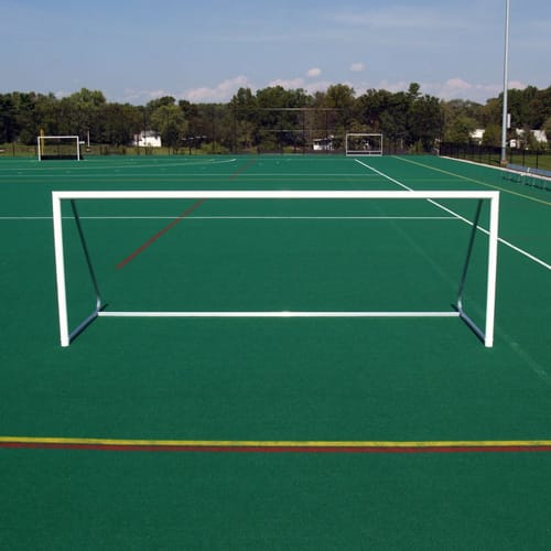 Club Soccer Goal preview 2