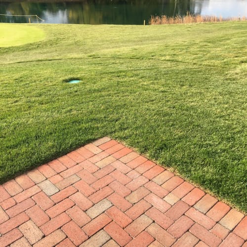 Antique Clay Paver - Rumbled Beale Street preview 2