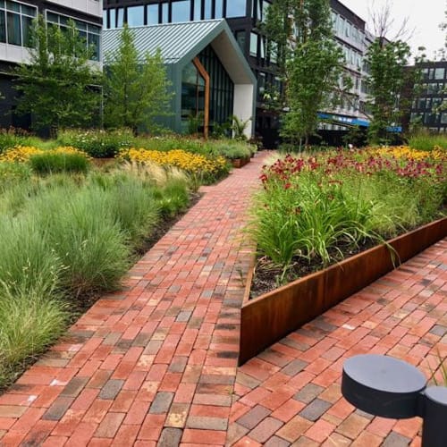 Antique Clay Paver - Old Towne preview 2