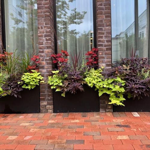 Antique Clay Paver - Old Towne preview 10