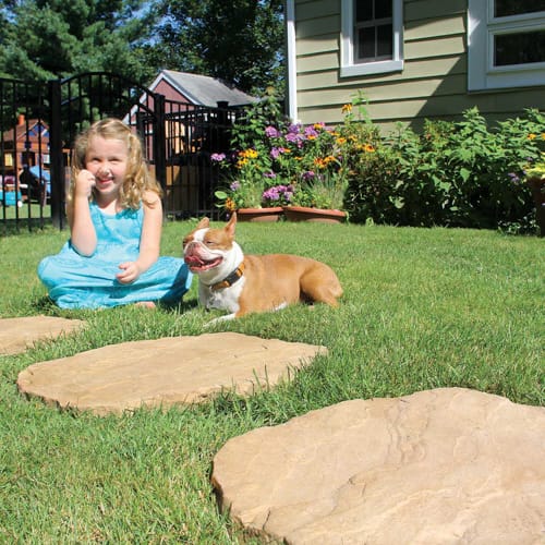 Stepping Stones preview 2