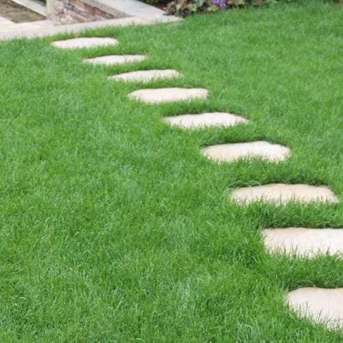 Stepping Stones preview 1
