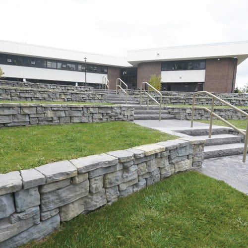 Belvedere Wall preview 2