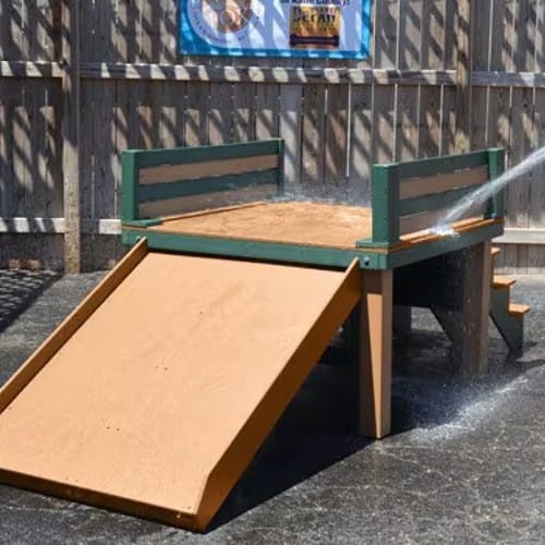 Top Dog Slide - Large preview 5