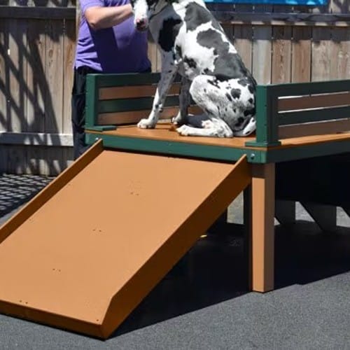 Top Dog Slide - Large preview 1