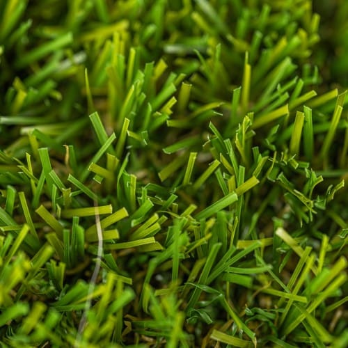 All Seasons | Multi-Use Landscape Turf preview 5