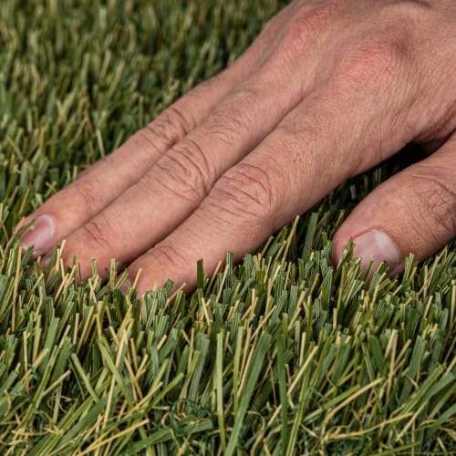 All Seasons | Multi-Use Landscape Turf preview 8