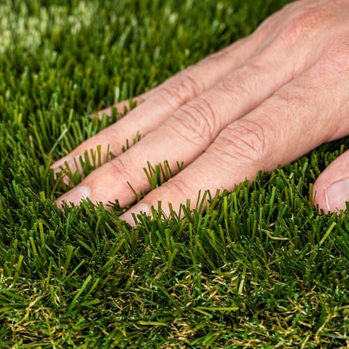 Absolute | Luxury Landscape Turf preview 7