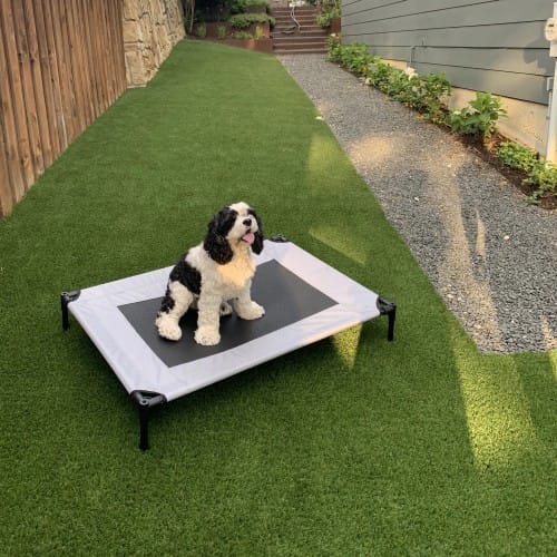 Pet Systems