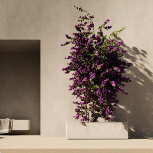 COSAPOTS Planter - Semplito Grand