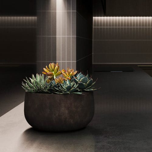 COSAPOTS Planter - Mondo Low preview 2