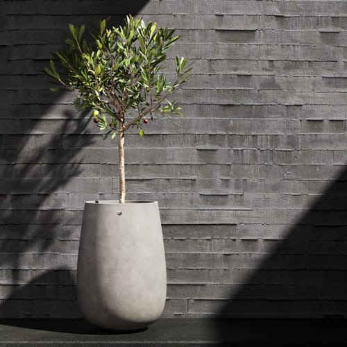 COSAPOTS Planter - Mondo High preview 2