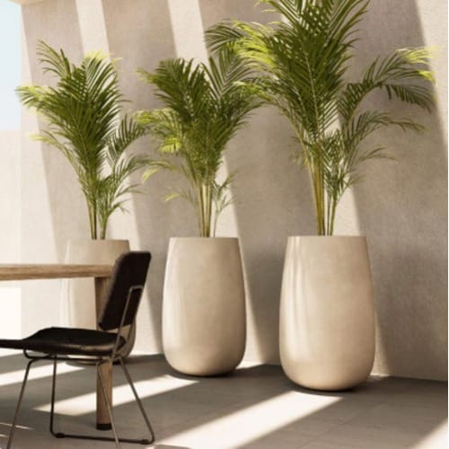 COSAPOTS Planter - Mondo High preview 1