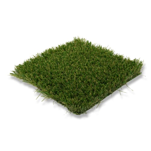 Goat Turf - Goat Fescue preview 1
